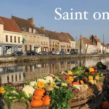 Le Clos Des Bambous * Saint-Martin-Lez-Tatinghem