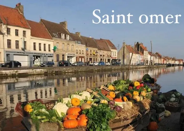 Le Clos Des Bambous * Saint-Martin-Lez-Tatinghem