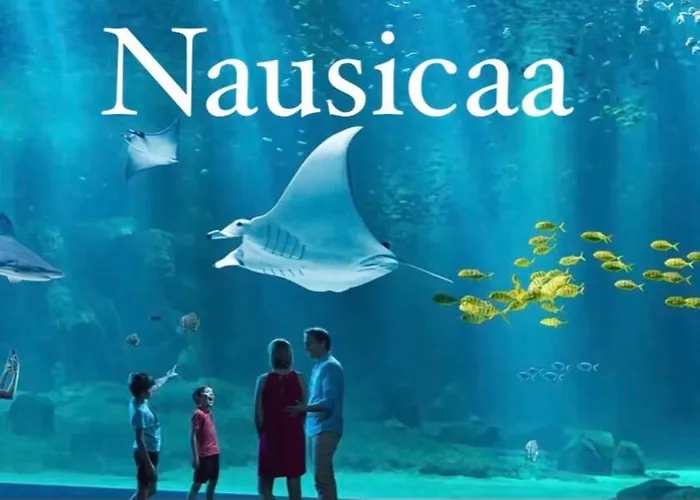 Casa vacanze Le Clos Des Bambous Saint-Martin-Lez-Tatinghem